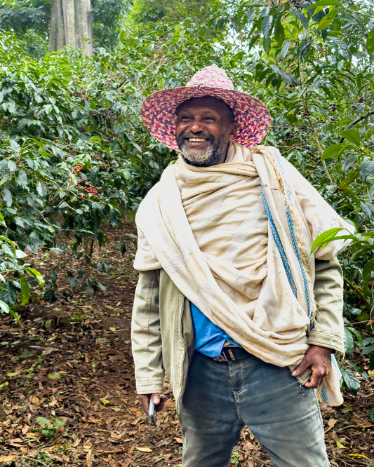 Ethiopia Shibru Dube Chelchele Natural