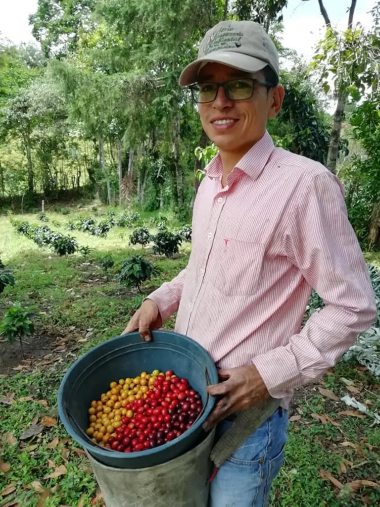 Colombia Eduardo Armero Pink Bourbon