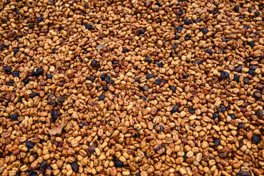 Ethiopia Red Honey Danche