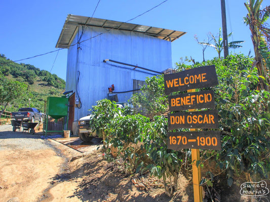 Costa Rica El Coyote Red Honey