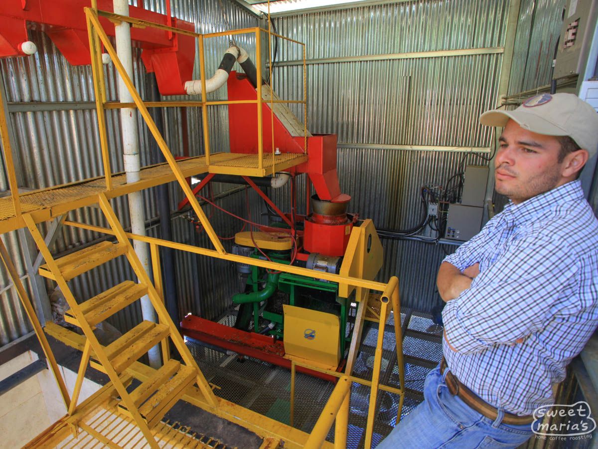 Costa Rica El Coyote Red Honey