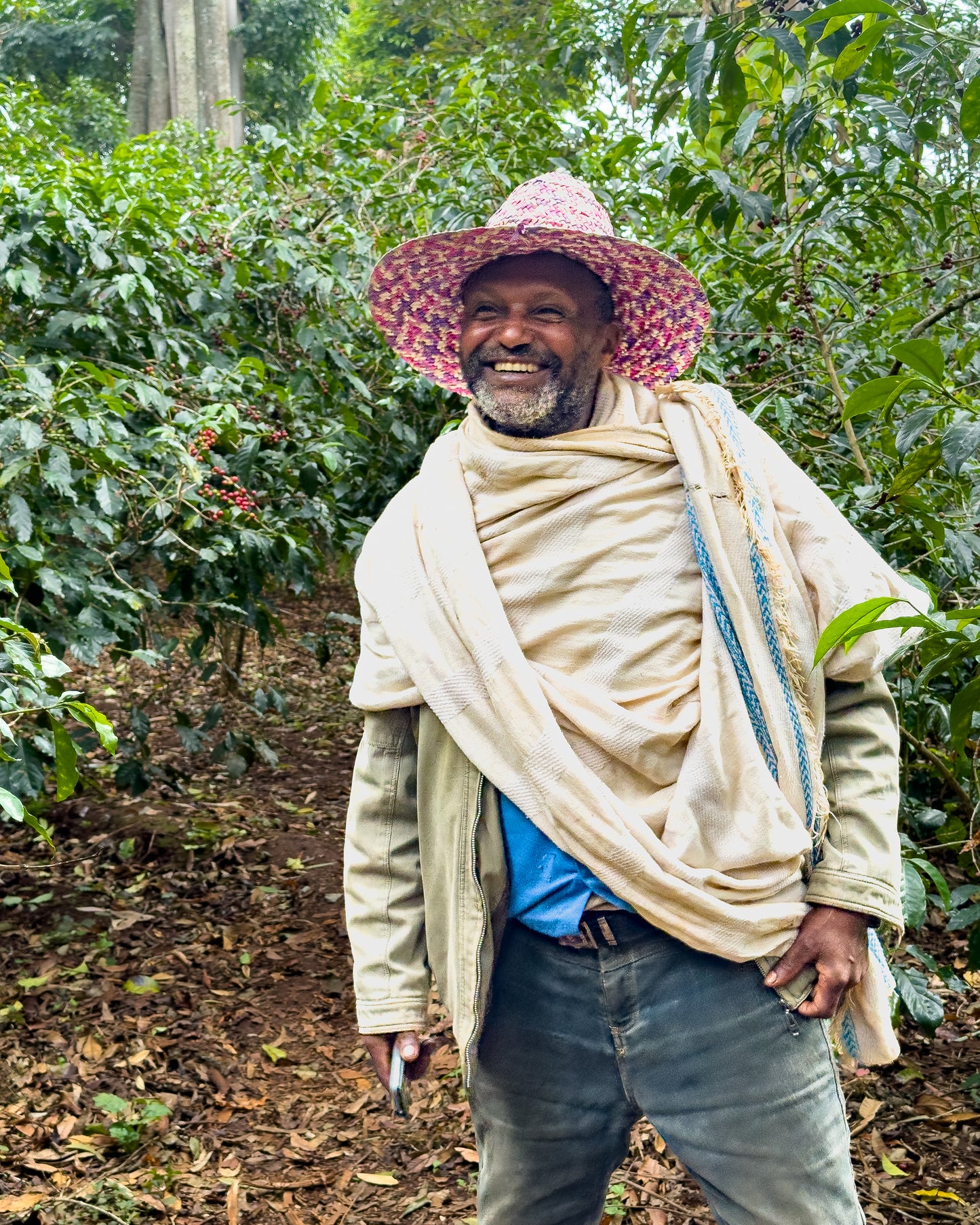 Ethiopia Shibru Dube Chelchele Natural