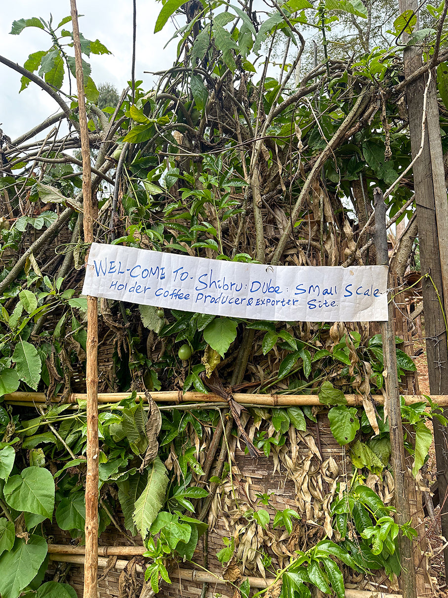 Ethiopia Shibru Dube Chelchele Natural