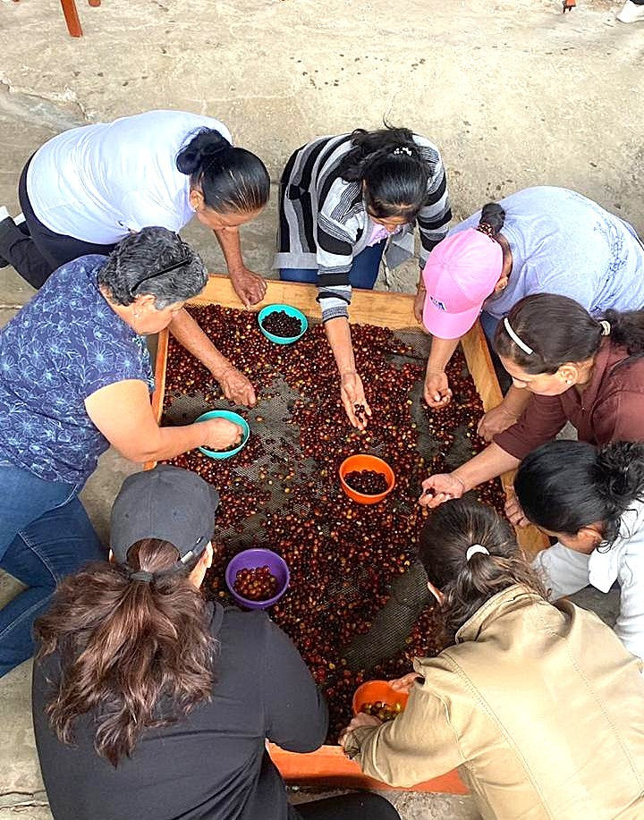 Colombia Huila ASPROTIMANA