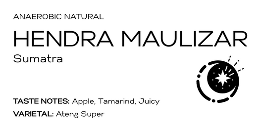 Sumatra Hendra Maulizar Anaerobic Natural
