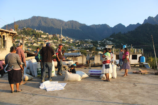 Mexico Washed Red de Zapotitlan, Totutla Washed