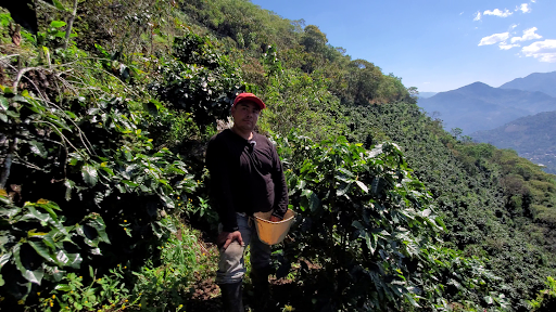 Mexico Washed Red de Zapotitlan, Totutla Washed