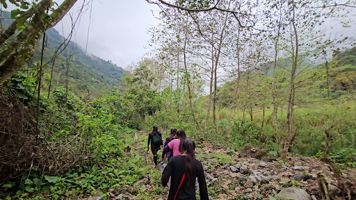 Mexico Washed Red de Zapotitlan, Totutla Washed