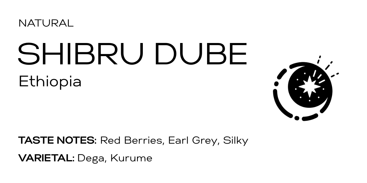 Ethiopia Shibru Dube Chelchele Natural