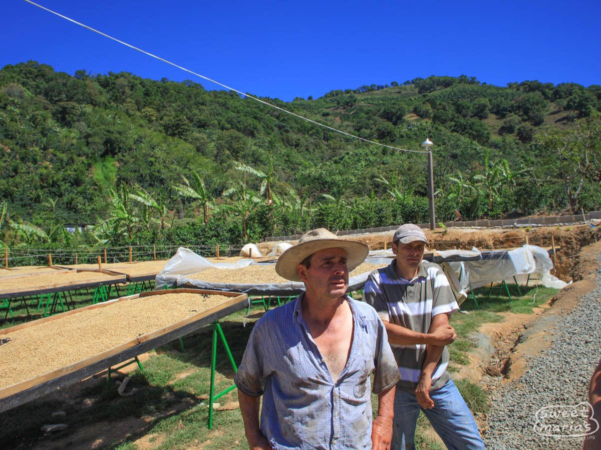 Costa Rica El Coyote Red Honey