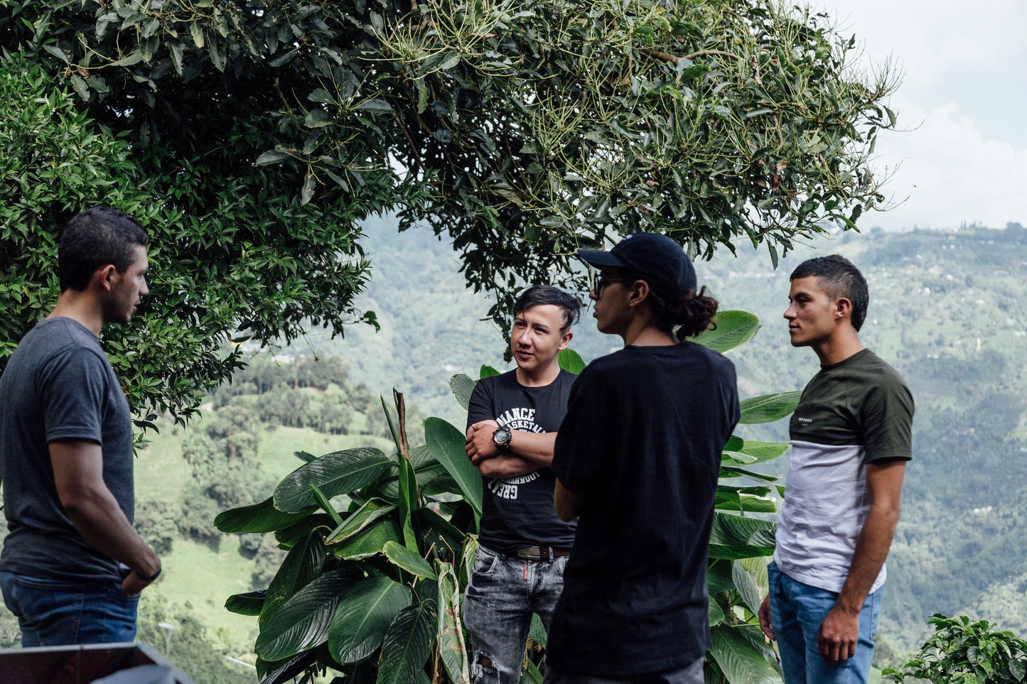 Colombia Young Producer Association Recruitment Lot
